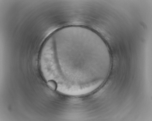 X0000115421170200911241342