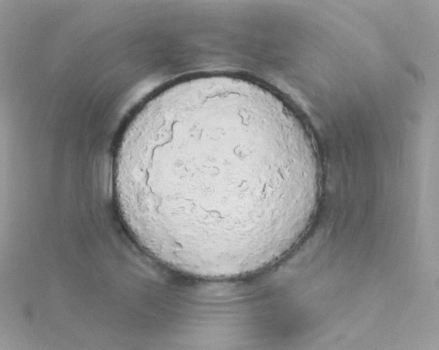 X0000115421171200911241342