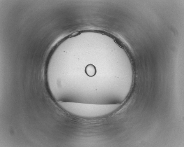 X0000115421173200911241342