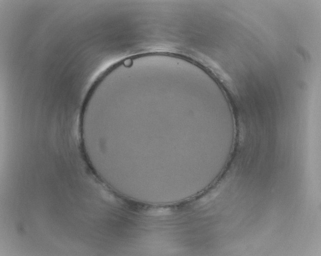 X0000115421174200911241342