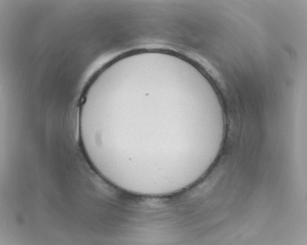 X0000115421175200911241342