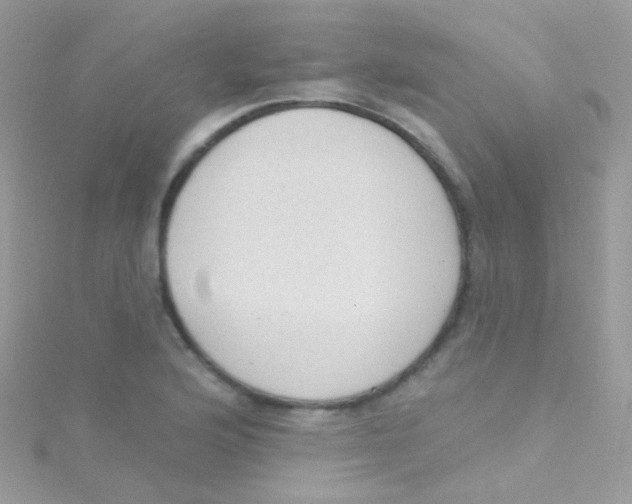 X0000115421176200911241342