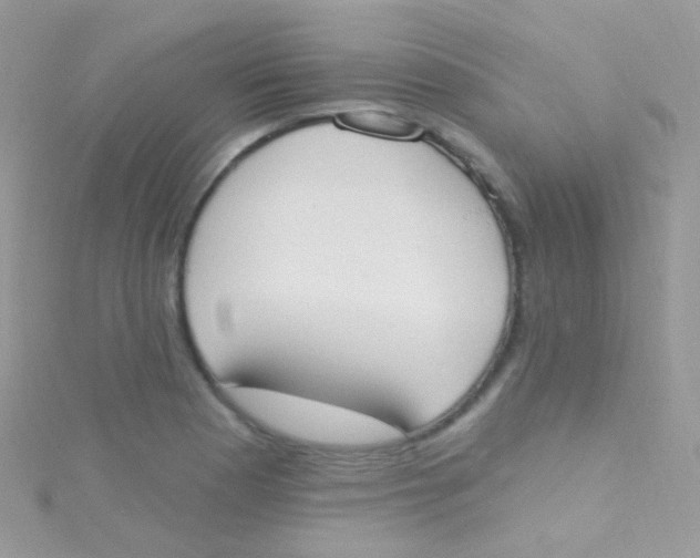 X0000115421177200911241342