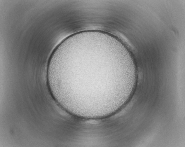 X0000115421178200911241342