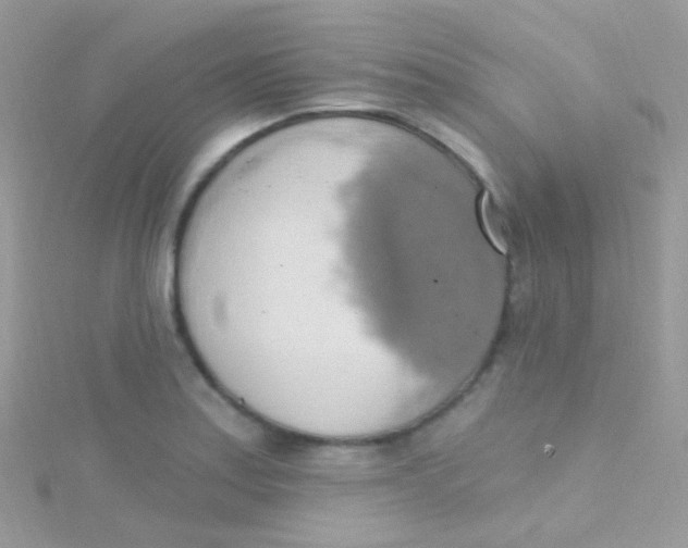 X0000115421179200911241342