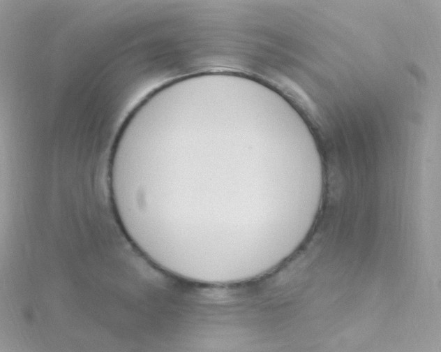 X0000115421182200911241342