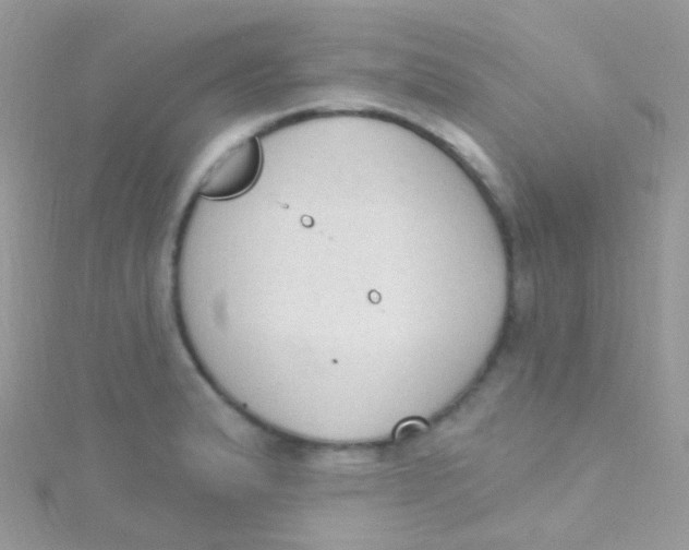 X0000115421183200911241342