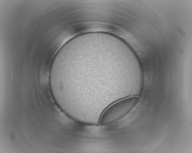 X0000115421185200911241342