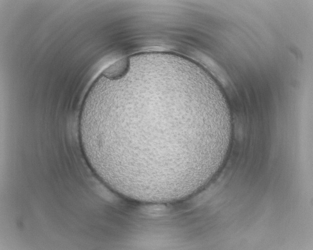 X0000115421186200911241342