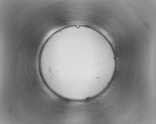 X0000115421187200911241342