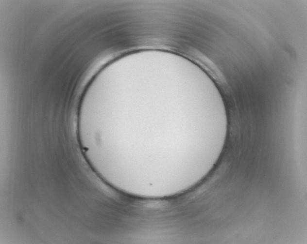 X0000115421188200911241342