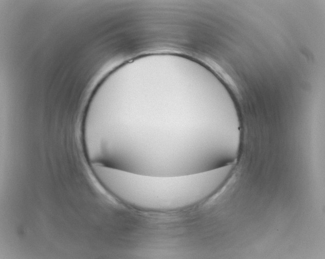 X0000115421189200911241342