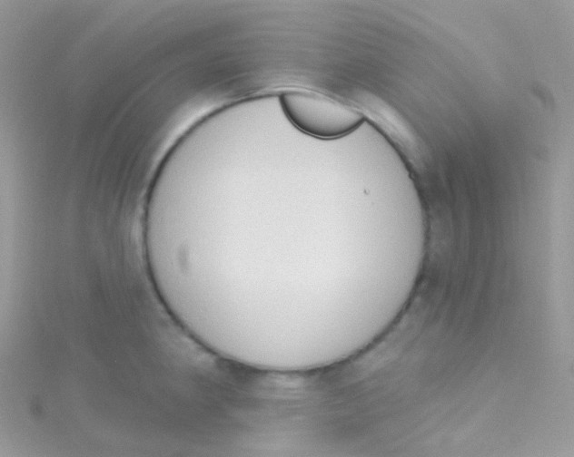 X0000115421190200911241342