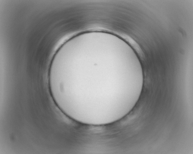 X0000115421191200911241342