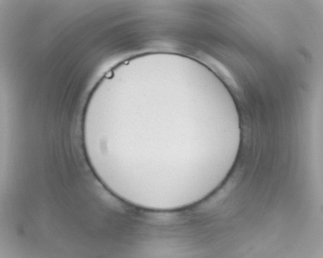 X0000115421192200911241342