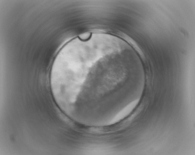 X0000115421194200911241342