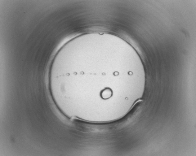 X0000115421195200911241342