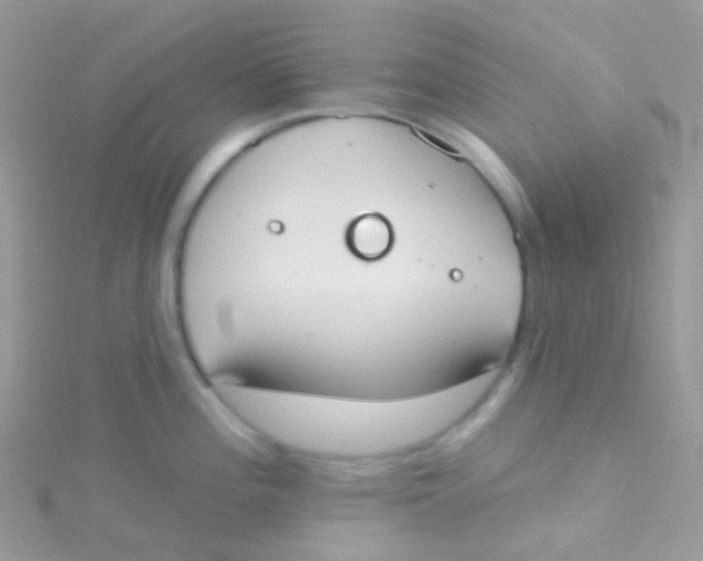 X0000115421196200911241342