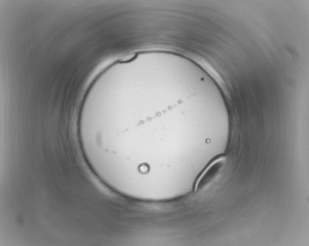 X0000115421197200911241342