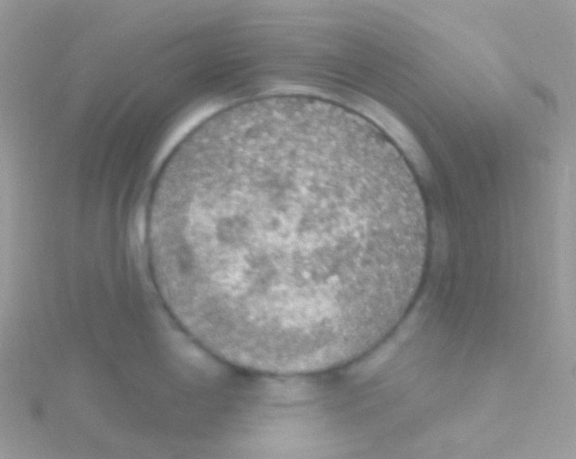 X0000115421198200911241342