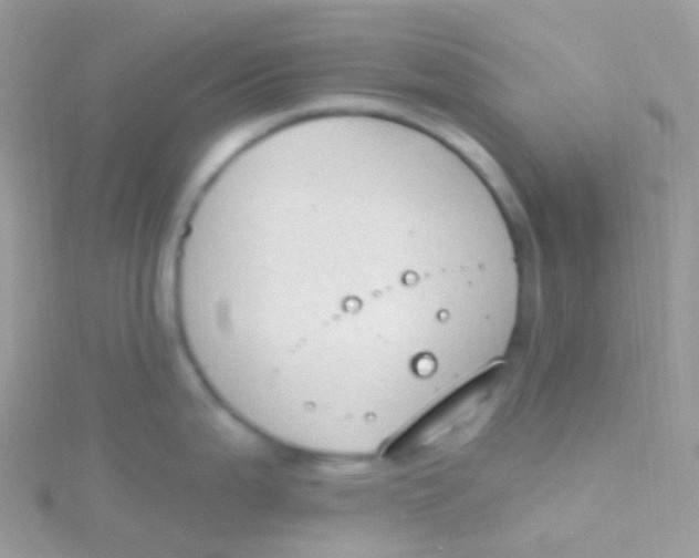 X0000115421199200911241341