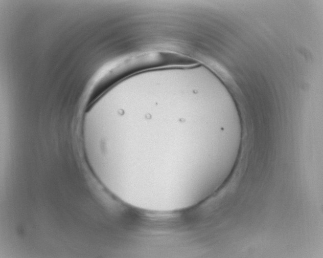 X0000115421200200911241341