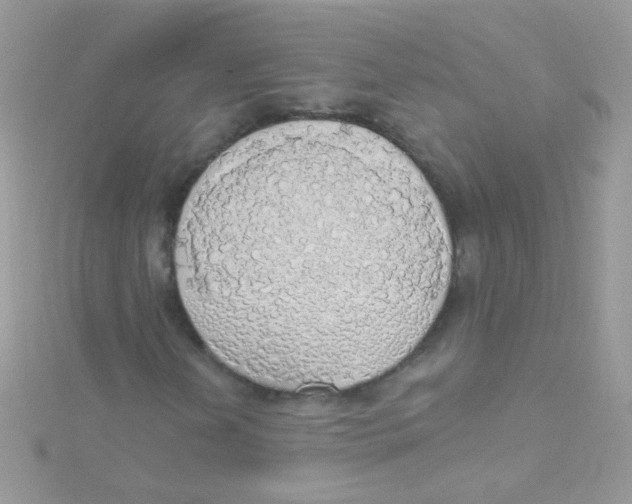 X0000115421202200911241341