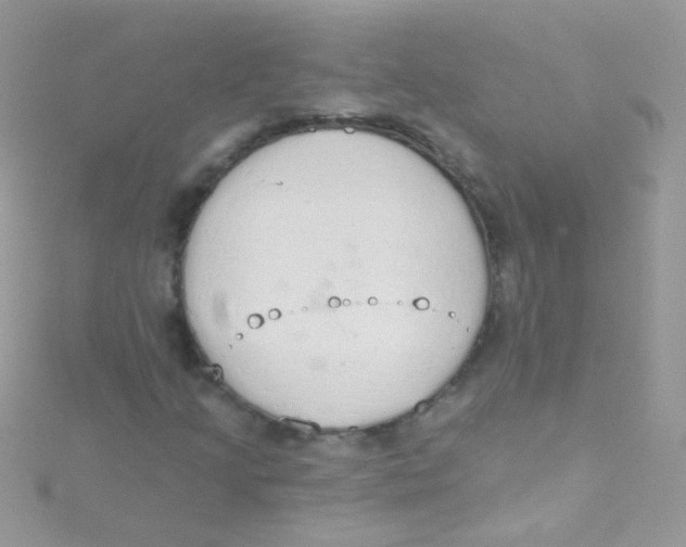 X0000115421205200911241341