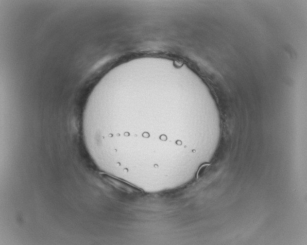 X0000115421206200911241341