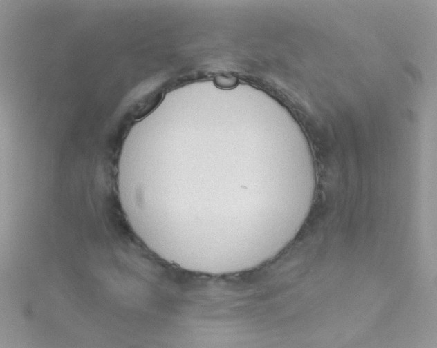 X0000115421207200911241341