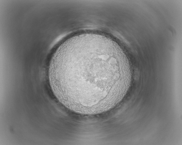 X0000115421208200911241341