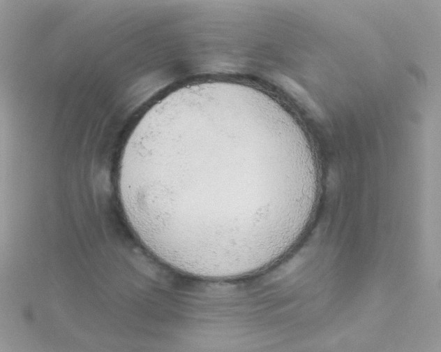 X0000115421209200911241341