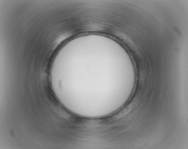 X0000115421210200911241341