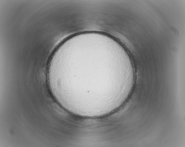 X0000115421212200911241341