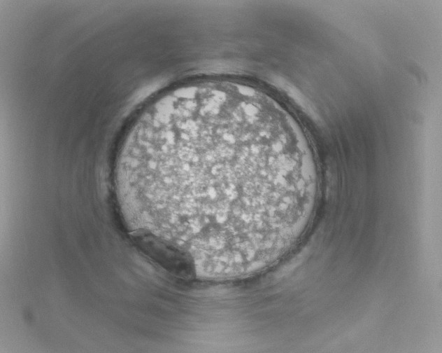 X0000115421213200911241341