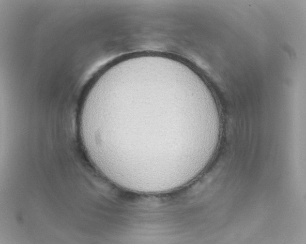 X0000115421214200911241341