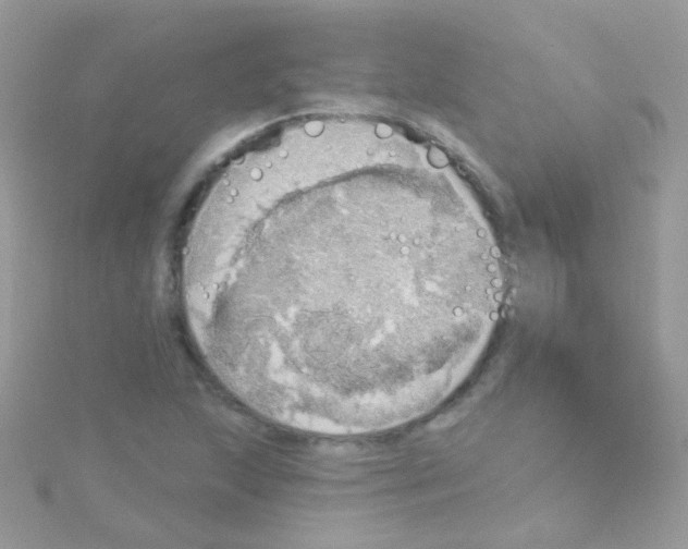 X0000115421215200911241341