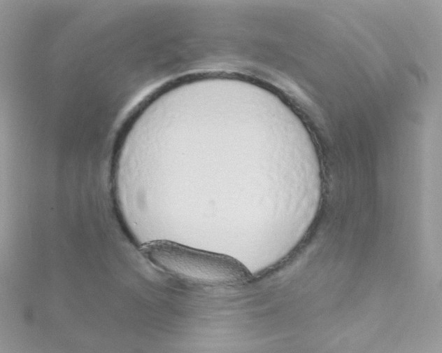 X0000115421216200911241341