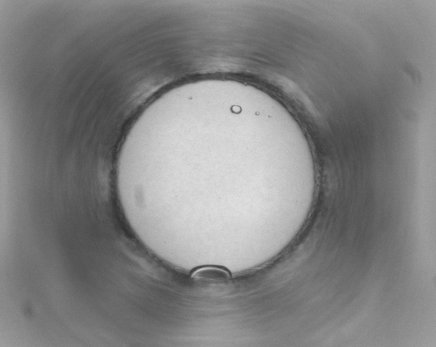 X0000115421217200911241341