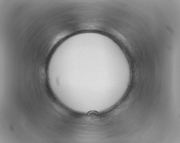 X0000115421218200911241341