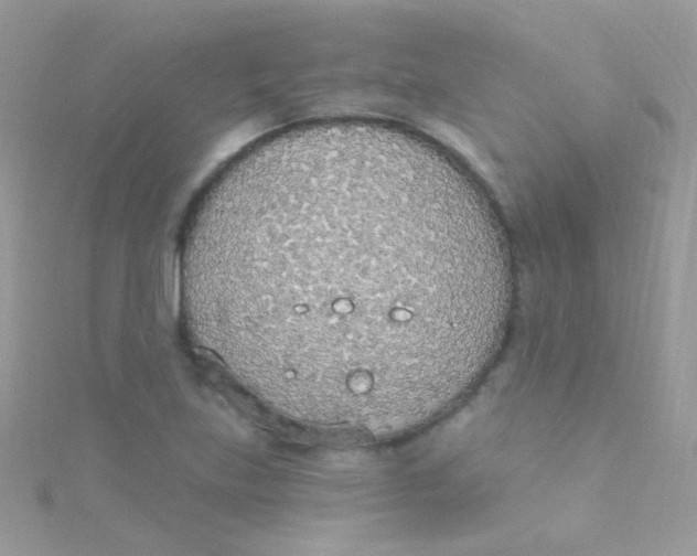 X0000115421219200911241341