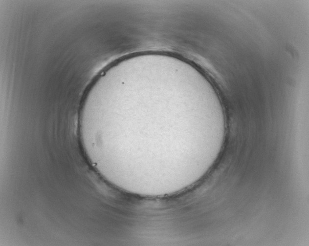 X0000115421220200911241341