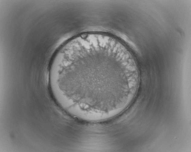 X0000115421221200911241341