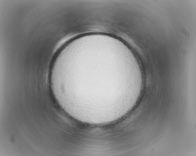 X0000115421222200911241341