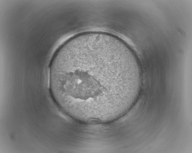 X0000115421223200911241341