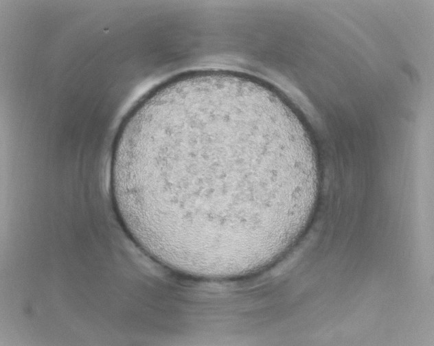 X0000115421224200911241341