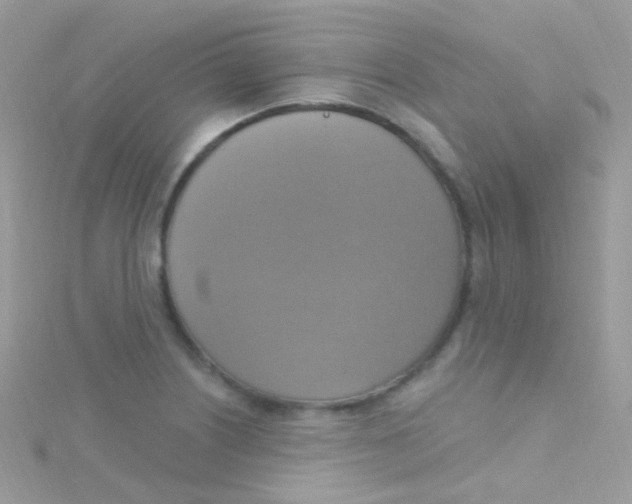 X0000115421226200911241341