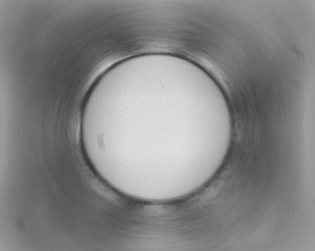 X0000115421227200911241341