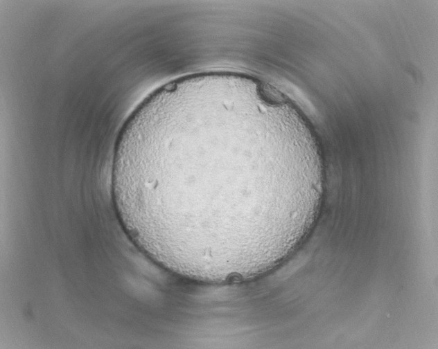 X0000115421228200911241341