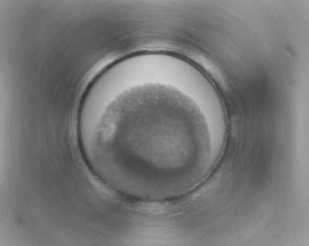 X0000115421229200911241341